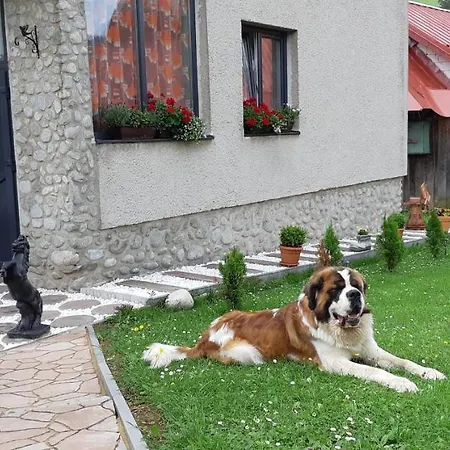 Privat Sofia Zdiar